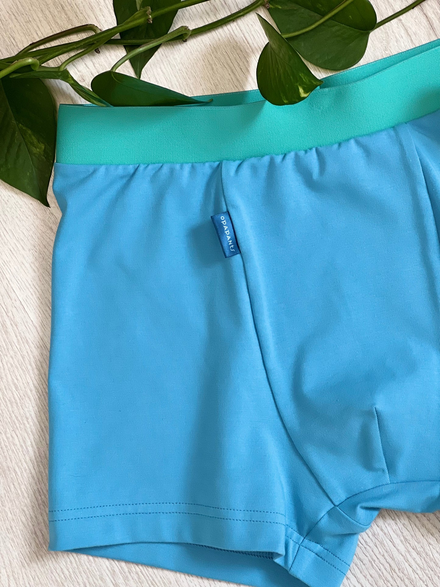 Boys’ Organic Cotton Boxer Briefs – Turquoise with Mint Waistband