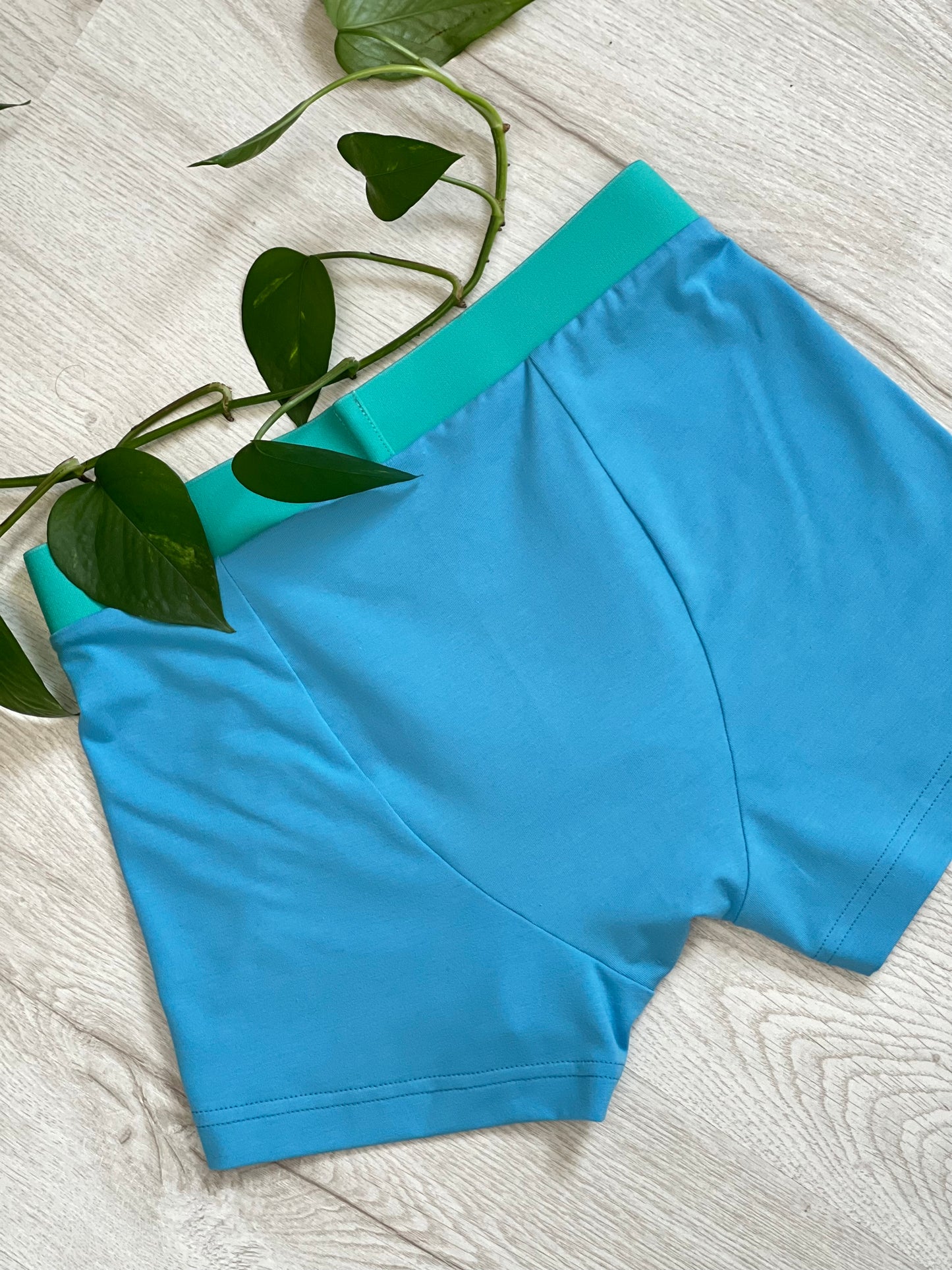 Boys’ Organic Cotton Boxer Briefs – Turquoise with Mint Waistband